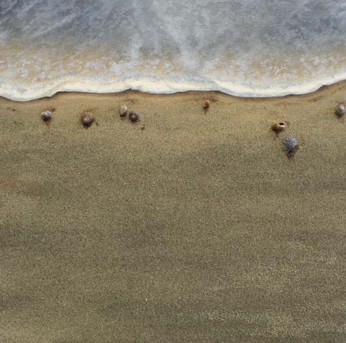 gifts from the sea natalie kinsey warnock gifts from the sea natalie kinsey warnock